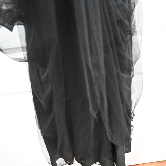 Aidan Mattox Embroidered Bodice Mesh Ballgown black and Ivory | Size 2 - Picture 4 of 10